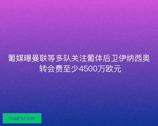 葡媒曝曼联等多队关注葡体后卫伊纳西奥 转会费至少4500万欧元